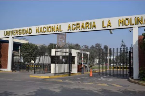 Universidad Nacional Agraria La Molina 